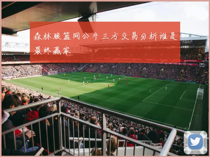 森林狼篮网公牛三方交易分析谁是最终赢家