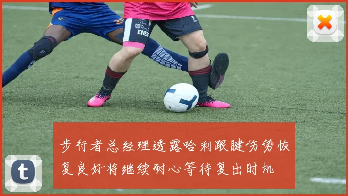 步行者总经理透露哈利跟腱伤势恢复良好将继续耐心等待复出时机